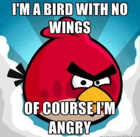 Angry Birds-my boys love angry birds...therefore I love angry birds. Bird Meme, Bird Craft, Lame Jokes, Jokes Hilarious, Angry Bird, Hilarious Funny, Can't Stop Laughing, Angry Birds, Bones Funny