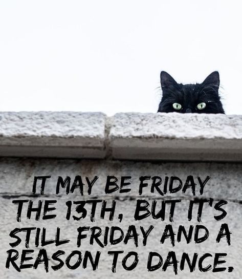 Friday The 13 Quotes Funny, Friday The 13th Quotes, Black Friday Quotes, Friday The 13th Funny, Good Morning Cat, Autumn Leaves Wallpaper, Happy Friday The 13th, Just A Friend, Morning Cat