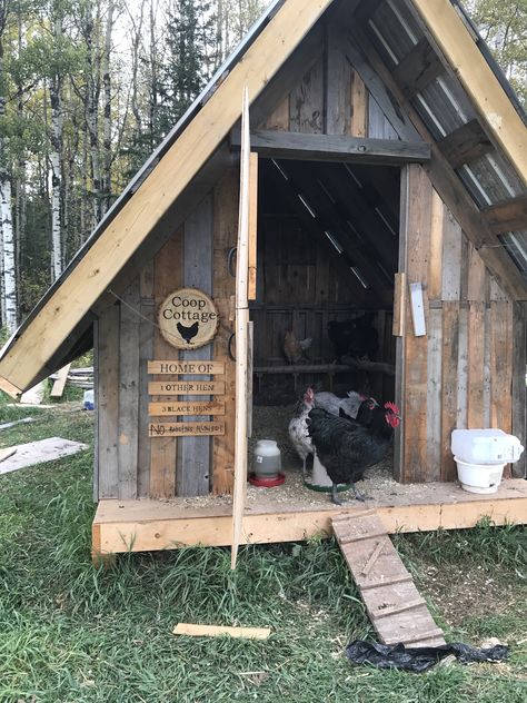 Palette Chicken Coop Diy, Barnwood Chicken Coop, Pallet Coop Chicken, Pallet Duck Coop, Chicken Coop Aesthetic, Turkey Coop Ideas Buildings, Pallet Chicken Coops, Pallet Chicken Coop Diy Easy, Aesthetic Chicken Coop