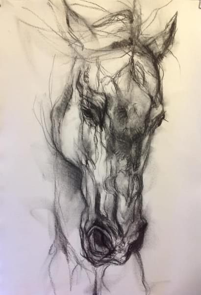 Equine Art Pencil Drawings, Charcoal Drawing Ideas, Horse Art Drawing, Horse Sketch, A Level Art Sketchbook, Abstract Horse, Charcoal Sketch, Monochrome Art, Charcoal Art