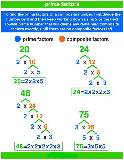 Factors Worksheet, Prime Factorization Worksheet, Prime Factors, Factor Trees, Composite Numbers, Prime Factorization, Teaching Math Strategies, Teaching Mathematics, Math Charts