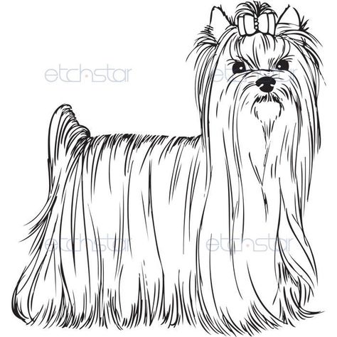 Yorkie Coloring Pages | AKC Yorkshire Terrier-standing Yorkie Puppy Care, Sharon Taylor, Dog Glasses, Yorkshire Terrier Teacup, Edit Image, Arte Quilling, Cute Puppy Breeds, All Breeds Of Dogs, Dog With Glasses