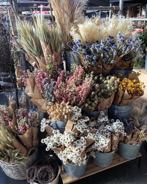 Dried Flower Retail Display, Inside Flower Shop, Flower Booth, Dried Flower Bar, Garden Center Displays, Dyed Flowers, Flower Shop Decor, Carrot Flowers, Dried Flowers Bouquet