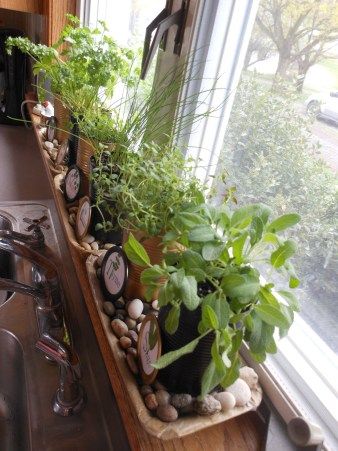 Great idea for a kitchen herb garden! Window Sill Planter Ideas, Window Seal Herb Garden, Kitchen Herb Garden Indoor, Kitchen Window Herb Garden, Herb Garden Window, Window Sill Herb Garden, Greenery Kitchen, Herb Window, Window Sill Plants