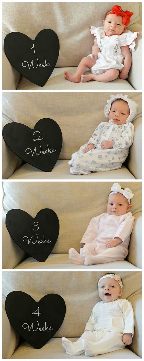 Weekly Newborn Pictures, One Week Newborn Photo Ideas, 2 Week Newborn Photos, Weekly Baby Pictures, One Week Baby Pictures Ideas, 1 Week Baby Picture Ideas, 1st Month Baby Photoshoot, One Week Old Baby Pictures, Monthly Pics Of Baby