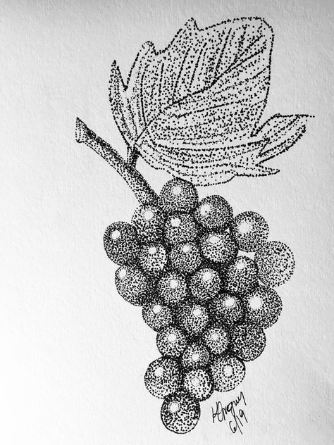 Stippling art work  Stippling  Drawing  Draw  Grapes drawing  Ink on watercolor paper  8x10 Doted Art Drawing, Simple Stipple Art, Dot Drawing Simple, Stippling Art Flowers, Dot Drawing Ideas, Stippling Art Ideas Easy, Dot Art Drawing Ideas, Drawing Ideas Fruit, Stippling Art Easy