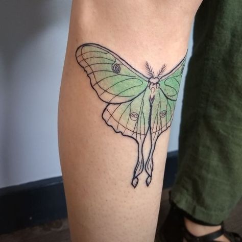 A soft wash of mint green for this luna moth 🍃✨ . . . #lunamoth #lunamothtattoo #tygerwolftattoo #seattletattoo #qttr Green Luna Moth Tattoo, Green Moth Tattoo, Luna Moth Tattoo, Seattle Tattoo, Moth Tattoo, Luna Moth, Dreamcatcher Tattoo, Geometric Tattoo, Moth