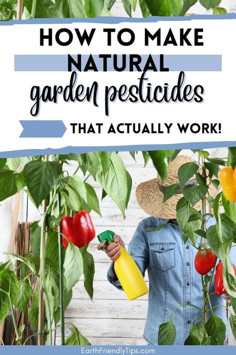 All Natural Garden Pesticide, Natural Bug Repellent For Vegetable Garden, Homemade Insecticide For Vegetables, Natural Pesticides For Vegetable Garden, Natural Bug Killer For Garden, Natural Garden Pesticide, Organic Pest Control For Garden, Organic Bug Spray For Vegetable Garden, Natural Pest Control For Garden