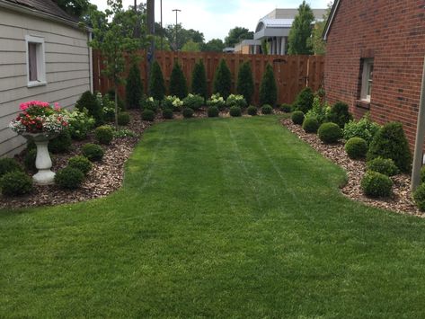 Arborvitae, hydrangea and boxwood Arborvitae And Boxwood Landscaping, Tater Tot Arborvitae In Landscape, Boxwood And Hydrangea Landscaping, Hydrangea And Boxwood Landscaping, Arborvitae And Hydrangea Landscaping, Hydrangea And Boxwood, Boxwood Landscaping, Front Landscape, Hydrangea Landscaping