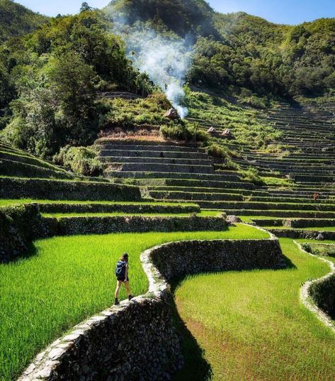 Surrounded by beautiful amphitheatre-like rice terraces - truly Batad Ifugao is a must see place in the Philippines! 😉🌲… Ifugao Rice Terraces, Rice Terraces, The Philippines, Philippines, Nature Inspiration, Golf Courses, Terrace, Beautiful Places, Mood Board