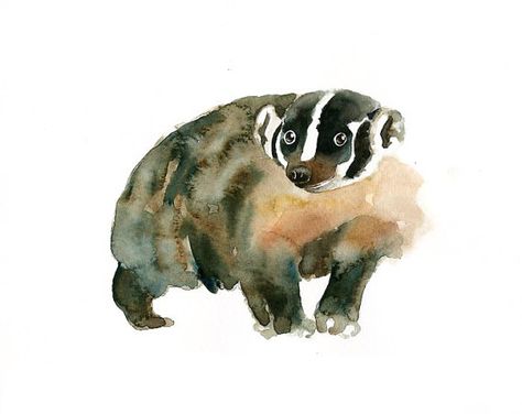 American Badger, Winsor And Newton Watercolor, Animal Guides, Watercolour Paper, Original Watercolor Painting, Spirit Animal, Badger, Watercolor Paper, Original Watercolors