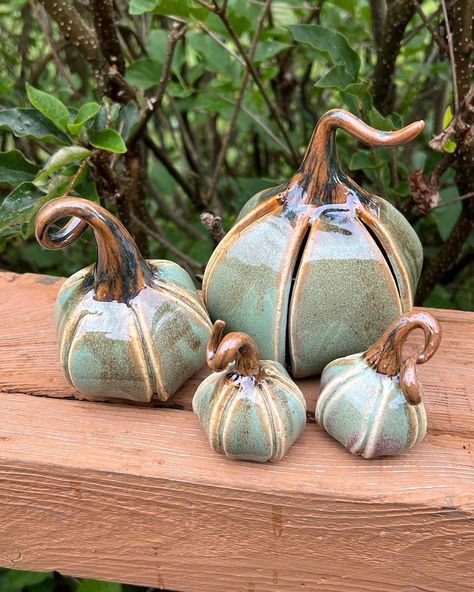 Anita Mraz | My newest family of pumpkins has come out of the kiln. @clayspacelisle #ClaySpaceLisle #pottery #ceramics #instaartist #lisleillinois... | Instagram Fall Ceramics Pottery, Fall Ceramics Ideas, Ceramic Pumpkins Pottery, Ceramic Ideas Pottery, Pottery Pumpkins, Pumpkin Pottery, Ceramic Pumpkins, Holiday Pottery, Clay Pumpkin