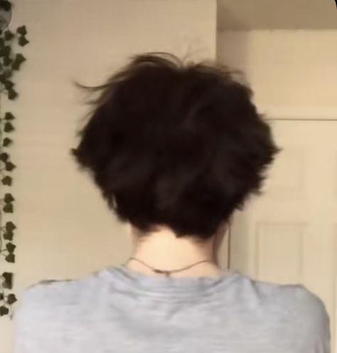 Short Fluffy Hair Back View, Transmasc Straight Haircut, Short Scruffy Hair, Shirt Fluffy Hair, Fluffy Messy Hair Boy, Trans Boy Haircut Straight, Ftm Haircuts Straight Hair, Trans Haircut Ftm, Trans Haircuts