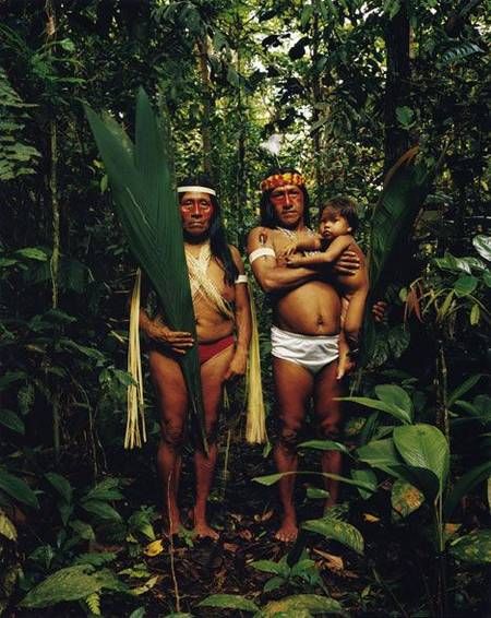 Rainforest People, Amazon People, American Desert, Cedar Sage, Forest People, Amazon Forest, Indigenous Tribes, Zoom Photo, Welcome To The Jungle