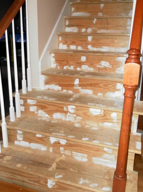 Using Minwax wood sheen Staircase Redo, Creative Stairs, Staircase Diy, Stairway Ideas, Diy Stairs Makeover, Redo Stairs, Diy Staircase Makeover, Stairs Makeover Ideas, Carpet Staircase