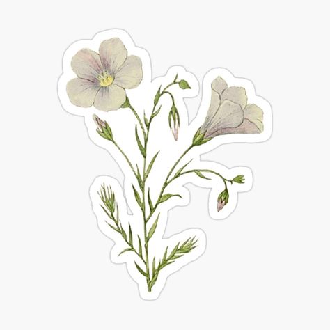 Get my art printed on awesome products. Support me at Redbubble #RBandME: https://www.redbubble.com/i/sticker/Aesthetic-Flower-by-Sdch-Shop/89854851.EJUG5?asc=u Flower Aesthetic Sticker, Vintage Flowers Stickers, Illustration Fleur, Vintage Flower Stickers, Pretty Stationery, Polaroid Wall, Sticker Aesthetic, Stickers Art, Aesthetic Flower