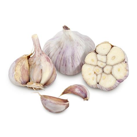 Siberian Garlic Garlic Farm, Hardneck Garlic, Garlic Bulbs, Garlic Seeds, Garlic Garlic, Growing Garlic, Garlic Bulb, Bountiful Harvest, Hot Spicy