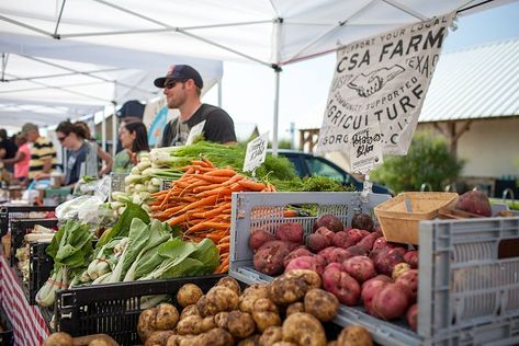 Csa Farm, Community Supported Agriculture, Studying Food, Victory Garden, Jello Salad, Energy Foods, Arbour Day, Sustainable Agriculture, Food System