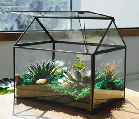 Large Glass Terrarium, Terrariums Diy, Backyard Aquaponics, Small Terrarium, Aquaponics Diy, House Planter, Plant House, Plant Terrarium, Terrarium Containers