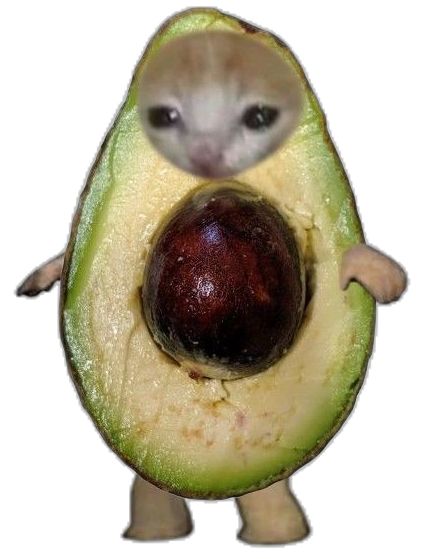 Avocado