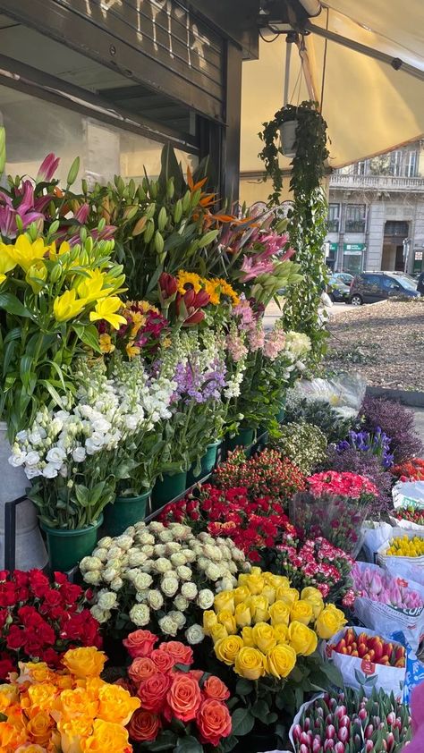 777 Brera Milano, Boquette Flowers, Nothing But Flowers, Flower Therapy, Beautiful Bouquet Of Flowers, Spring Aesthetic, Pretty Plants, Beautiful Bouquet, Business Entrepreneur