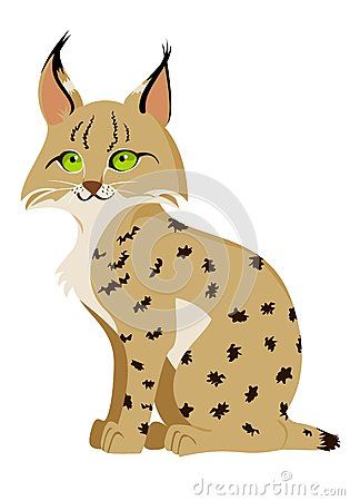 Bobcat Illustration, Bobcat Drawing, Tarsal Bones, Driveway Art, Diy Cat Bed, Drawing Prompts, Vbs Ideas, Bee's Knees, Drawing Prompt