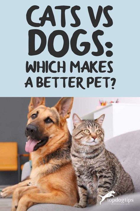 It's a controversial debate, cats vs. dogs. People are passionate for both. Here are some statistics on the trends and pros & cons for each. Dog Essay, Dogs And Cats Together, Cats Together, Cats Vs Dogs, Living With Dogs, Cat Vs Dog, Dog Jokes, Make Life Better, One Home