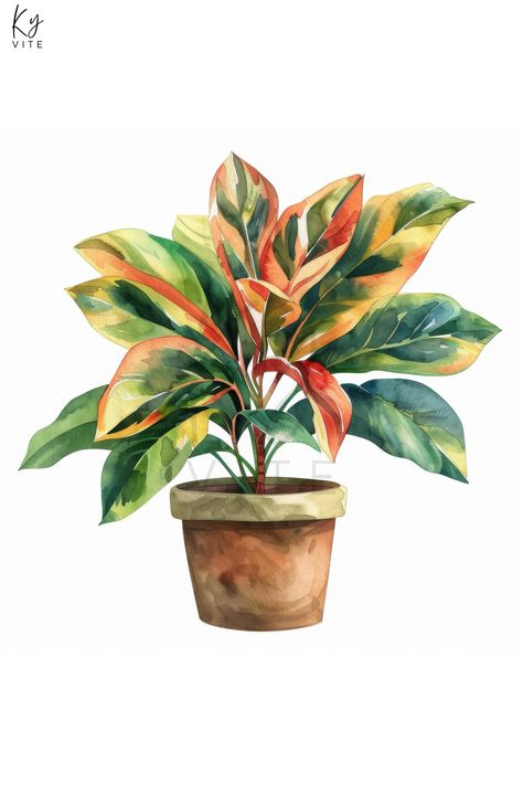 11 Autumn House Plant Potted Watercolor Clipart, Printable Digital Art for Crafts, Home Decor, Scrap Watercolor Plant Paintings, Plants Painting, Autumn House, Plant Watercolor, House Plant Pots, Nature Watercolor, Watercolor Plants, Big Plants, Plant Painting