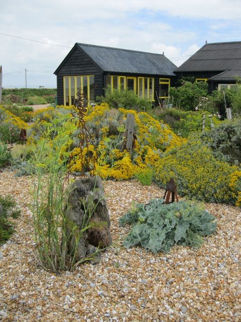 Prospect Cottage, Dungeness – Survival in a Hostile Environment - The Garden Visitor Prospect Cottage, Seaside Gardens Uk, Untermyer Gardens Conservancy, Prospect Cottage Dungeness, Garden Of Cosmic Speculation Scotland, Thatched Cottages England, Dry Garden, Gravel Garden, Survival Gardening