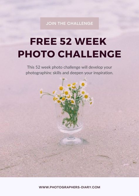 Photography Challenge Beginners, Photography Business Plan, Photography Assignments, Photography Bags, Time Photography, Photography Journey, Photography Help, 2023 Vision, Photography Challenge