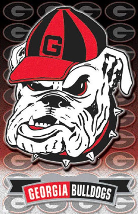 Georgia Bulldogs Cross Stitch Pattern***LOOK*** ~~ I SEND WORLD-WIDE ~~Free (PLEASE READ) THE ENTIRE PAGE CAREFULLY BEFORE YOU BUY! Thes Georgia Bulldog Mascot, Bulldog Wallpaper, Bulldog Clipart, Decorative Magnets, Uga Football, Ga Bulldogs, Georgia Dawgs, Georgia Bulldogs Football, Bulldog Mascot