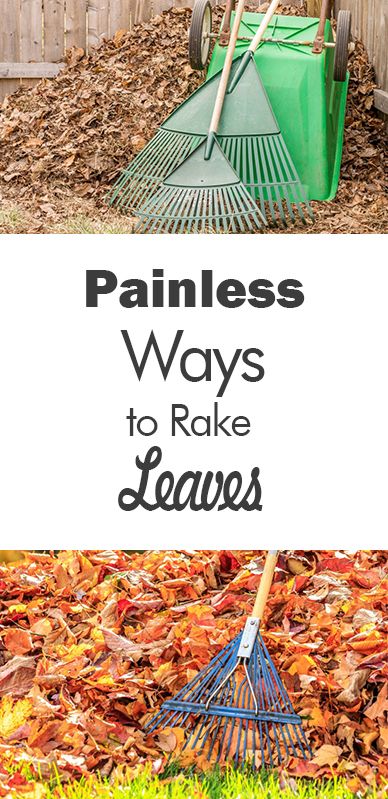 Painless Ways to Rake Leaves - 101 Days of Organization| Rake Leaves, Raking Leaf Tips, Yard Clean Up, Yard Clean Up Tips, Yard Organization #YardCleanUp #YardCleanUpTips #Gardening Yard Clean Up Tips, Leaf Clean Up, Yard Cleaning, Diy Backyard Fence, Growing Food Indoors, Yard Cleanup, Fall Yard, Raking Leaves, Cleaning Tips And Tricks