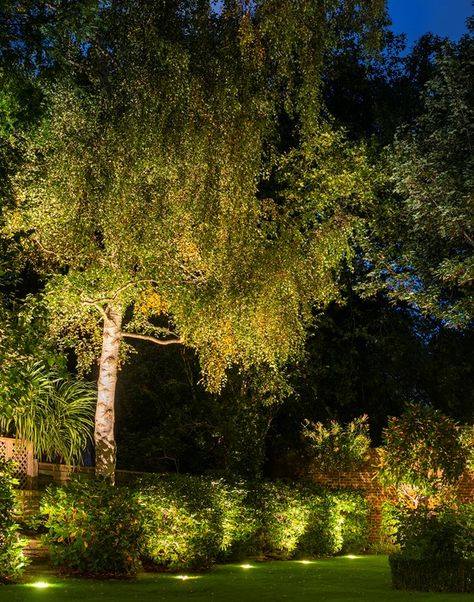 Low-level illumination creates the opportunity to have multiple layers of lighting, adding depth and interest. Also, lighting a garden at night will widen the house beyond the dark reflections on windows, adding a sense of security. Photo by @joannakossak . . #lightingdesign #outdoorlighting #securitylighting #landscapelighting Garden With Lights Night, Garden At Night Lights, Garden Illumination Ideas, Light Installation Outdoor, Garden Night Aesthetic, Backyard Illumination, Tropical Landscape Lighting, Garden Illumination, Backyard At Night