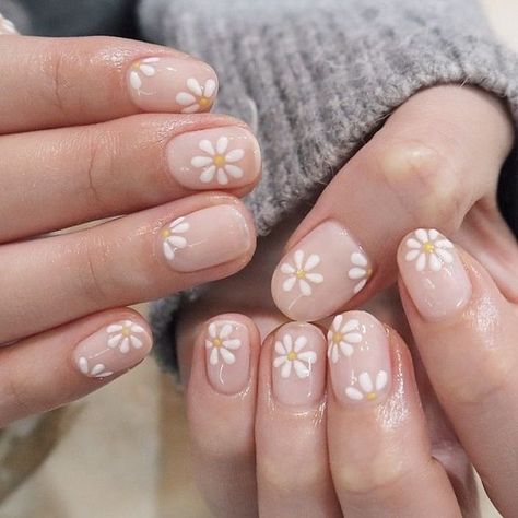 Flower Manicure Ideas, Easy Daisy Nail Art, Floral Manicure Ideas, Nailart For Short Nail, Colorful Floral Nails, Cute Manicure Ideas For Short Nails, Daisy Nails Short, Shellac Manicure Ideas, Shellac Manicure Short Nails