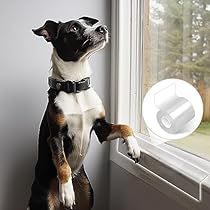 Window Sill Protector, Door Protector From Dog, Dog Window, Door Protection, Dog Washing Station, Door Protector, Inside Car, Door Guard, Dog Seat