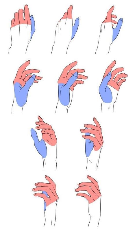 Hand Gestures, Hand Drawing Reference, Body Reference Drawing, Hand Reference, Have Inspiration, Anatomy Drawing, Figure Drawing Reference, Body Drawing, Anatomy Reference