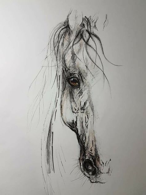 Quick Acrylic Painting, Unique Acrylic Nail Designs, Horse Tattoo Design, Watercolor Horse Painting, Nails Unique, Horse Art Drawing, Acrylic Paintings On Canvas, Nail Designs Ideas, Horse Sketch