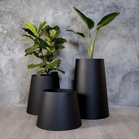 Bathroom Plants No Sunlight, Architectural Planters, Modern Offices, Contemporary Planters, Growing Greens, Steel Planters, Bathroom Plants, Plants Indoor, Concrete Planters