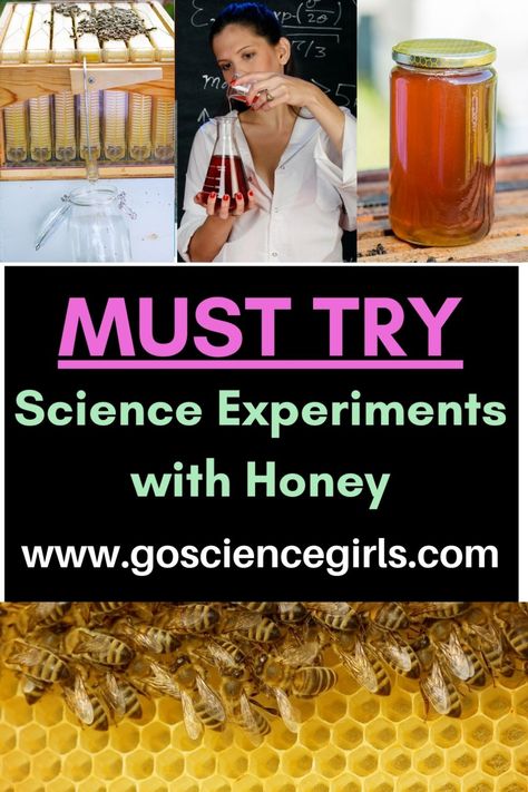 Discove the must-try science experiments using honey and learn about how important is chemistry in our lives. #chemicalscience #funscienceactivites Honey Experiment For Kids, Insect Science Experiments, Bee Science Experiment, Nature Curriculum, High School Science Fair, Science Fair Experiments, Kids Stem Activities, Water Tiger, Stem Experiments