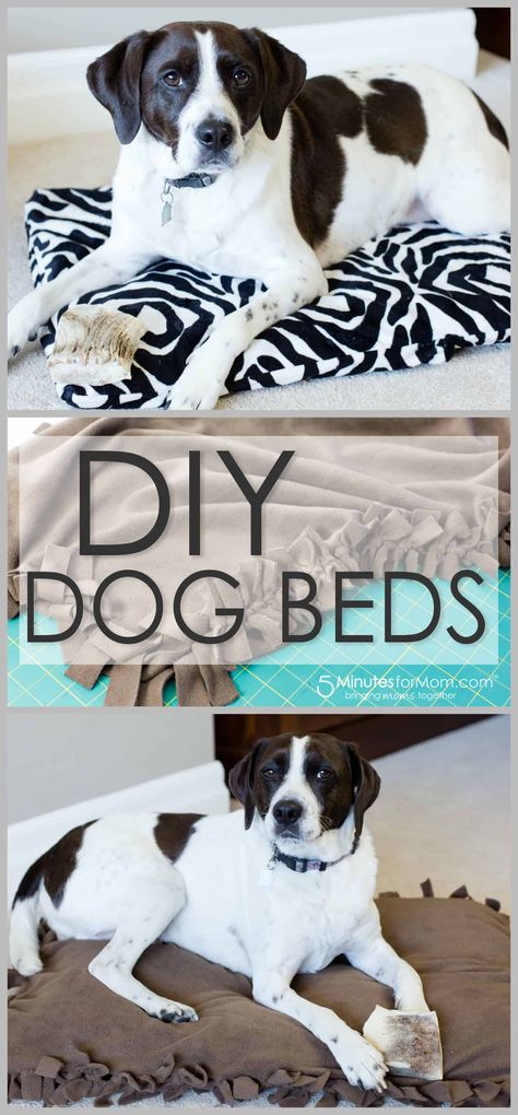 Diy Dog Beds, Dog Clothes Diy, Diy Dog Bed, Dog Steps, Diy And Crafts Sewing, Dog Crafts, Diy Dog, Dog Beds, No Sew