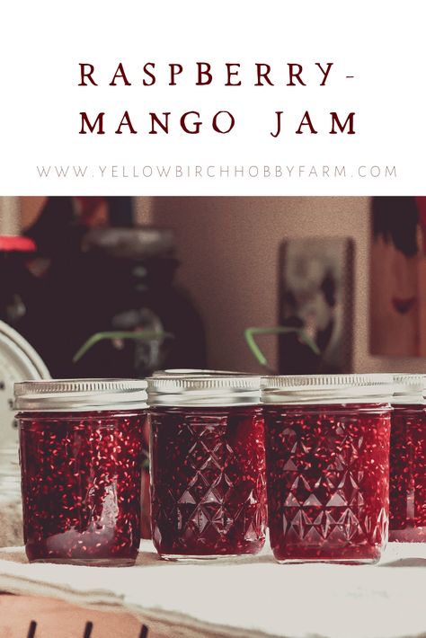 Winter Jam Recipes, What To Can, Summer Canning, Easy Jam Recipe, Winter Jam, Raspberry Jam Recipe, Ball Canning, Easy Jam, Mango Jam