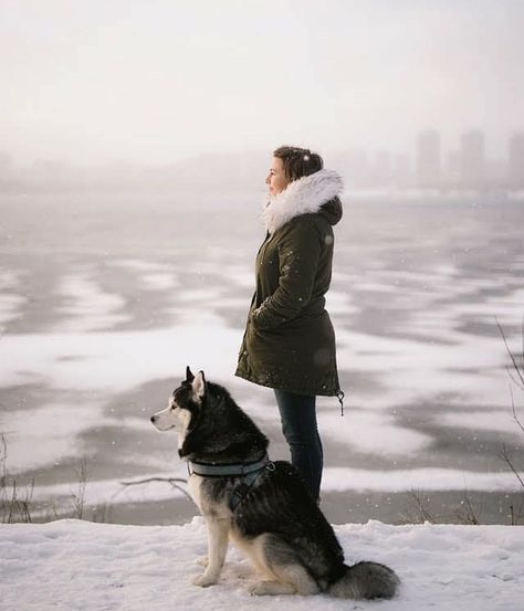 Pet Portraiture, Animal Photoshoot, Snow Photoshoot, Snow Animals, Cute Husky, Dog Photoshoot, Dog Photograph, Pet Photographer, Snow Dogs