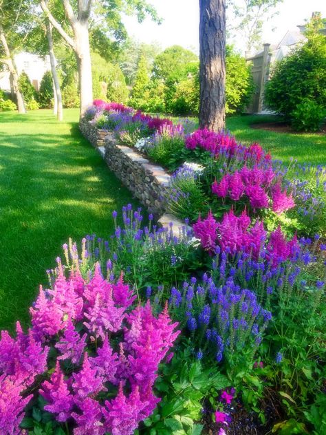 Shade Garden Design, Cheap Landscaping Ideas, Lush Landscape, Black Thumb, Front Garden Landscape, Landscape Inspiration, Perennial Flowers, Large Yard, Cottage Gardens