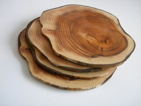 Modern Wood Kitchen, Tree Stump Table, Wood Architecture, Wooden Plate, Wood Plate, Wooden Plates, Wood Creations, Wooden Coasters, Wood Tray