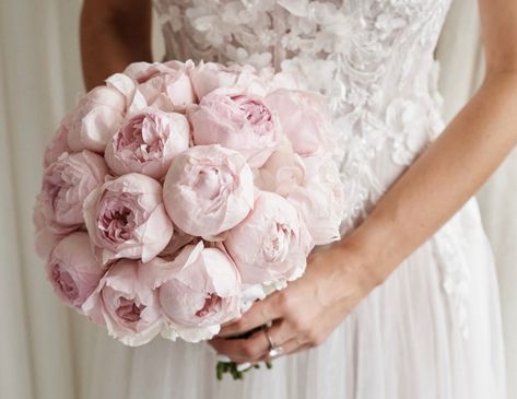 Wedding Florals, Big Love, Wedding Theme, Bridal Bouquet, Floral Wedding, Peonies, Bouquets, Wedding Flowers, Wedding Ideas