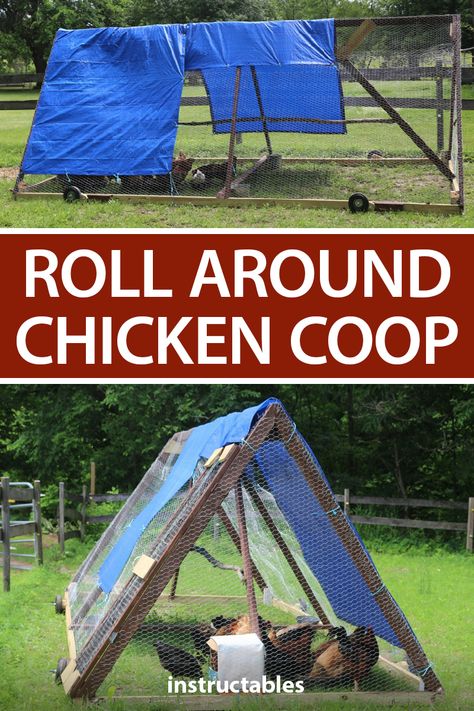 Rolling Chicken Coop, Coop And Run Ideas, Chicken Coop And Run Ideas, Chicken Coop Toys, Chicken Toys For Coop, Cheap Chicken Coop, Nesting Boxes For Chickens, Diy Chicken Toys, Chicken Coop And Run