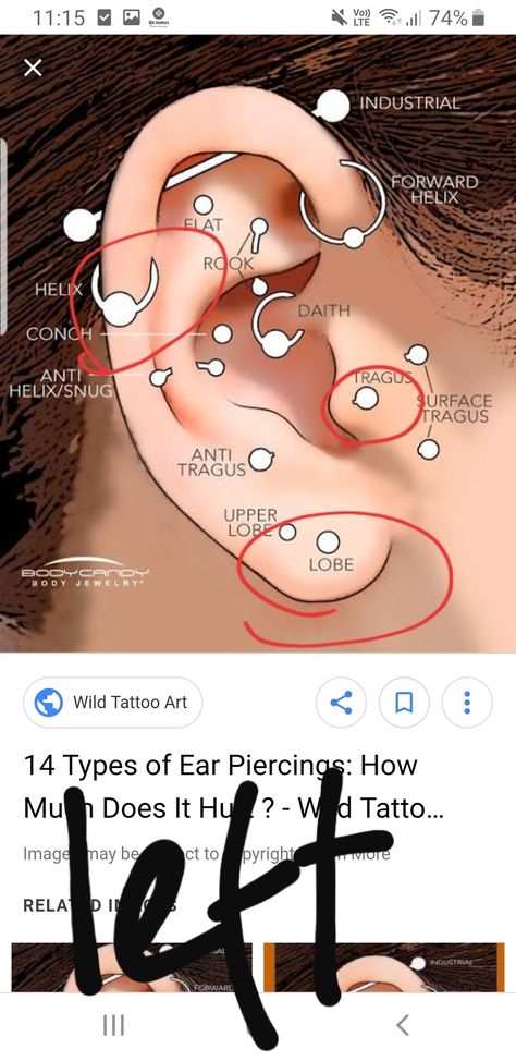 Surface Tragus Piercing, Surface Tragus, Anti Helix, Anti Helix Piercing, Ear Peircings, Surface Piercing, Types Of Ear Piercings, Anti Tragus, Wild Tattoo