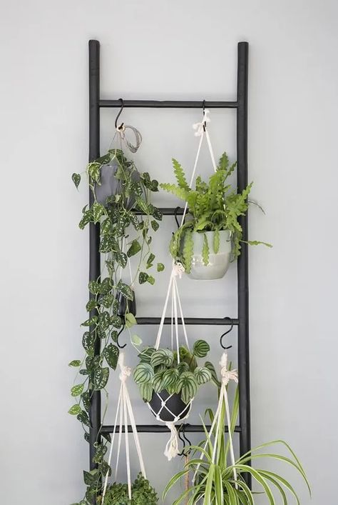 Indoor vertical garden design ideas - Miss M.V. Vertical Garden Indoor, Vertical Garden Design, Hanging Gardens, Renovation Tips, Plants Ideas, Plant Display, Remodeling Kitchen, Bathroom Plants, Plant Decor Indoor