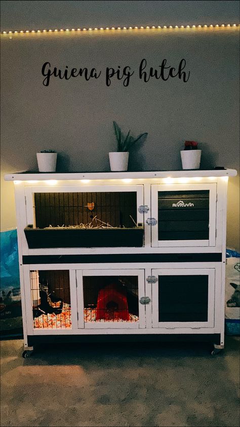 Small Rabbit Cage Ideas, Diy Guinea Pig Cage Furniture, Guinea Pig Cage Ideas Outdoor, Guinea Pig Cage Ideas Indoor, Diy Rabbit Hutch Indoor, Bunny Hutch Indoor, Indoor Guinea Pig Cage Ideas, Rabbit Hutch Ideas, Indoor Guinea Pig Cage