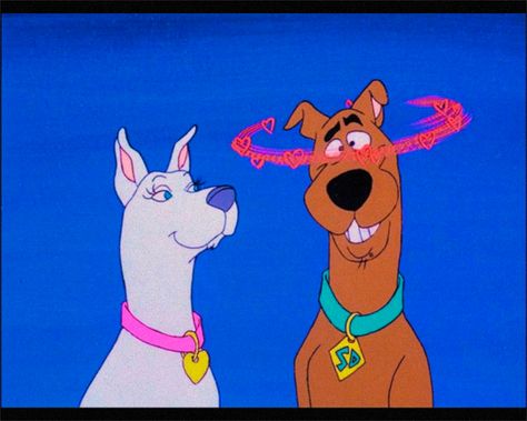 Scooby Doo Matching Pfp, Scooby Doo Wedding, Scooby Doo Kiss, Scooby Doo Quotes, 80s Artwork, The Scooby Doo Show, Scooby Doo Valentine, What's New Scooby Doo, Scooby Doo Pictures